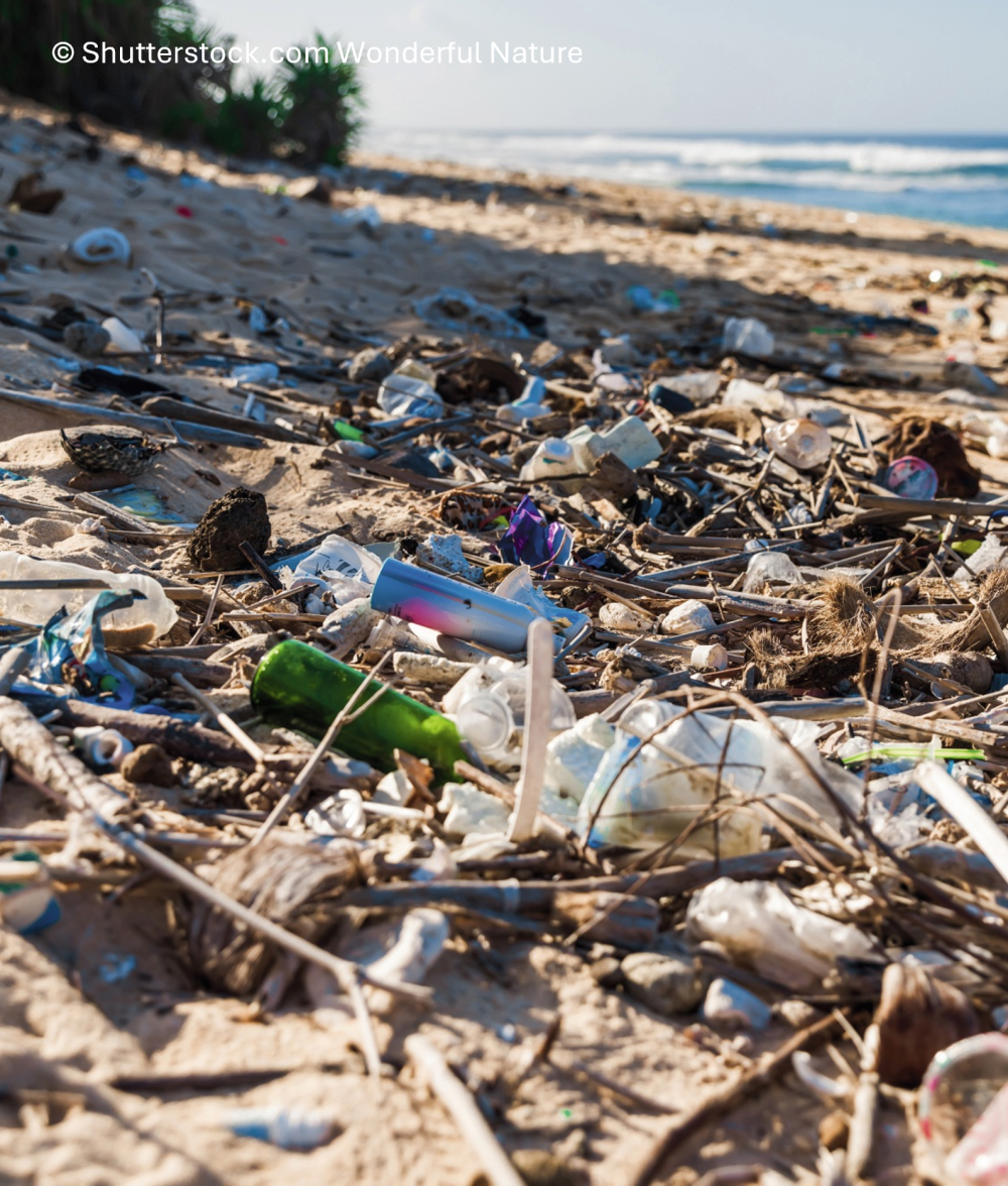 Kein Plastik, bitte!