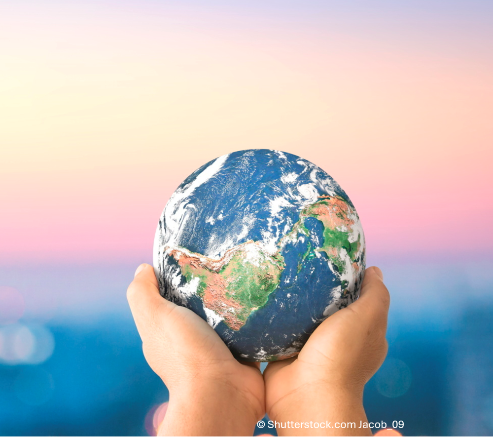 Nachhaltigkeit im Alltag