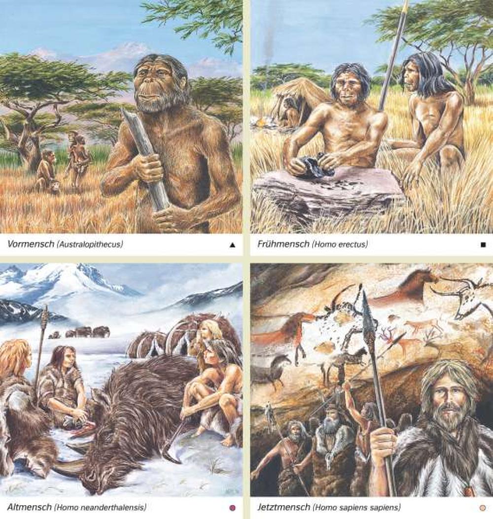 Bild der Karte Vormensch (Australopithecus)/Frühmensch (Homo erectus)/Altmensch (Homo neanderthalensis)/Jetztmensch (Homo sapiens sapiens) - Geschichte - Geschichte - Ur- und Frühgeschichte