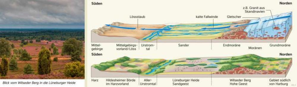 Bild der Karte Norddeutsches Tiefland - Eiszeitliche Prägung (Glaziale Serie) - Deutschland - Deutschland - Naturraum
