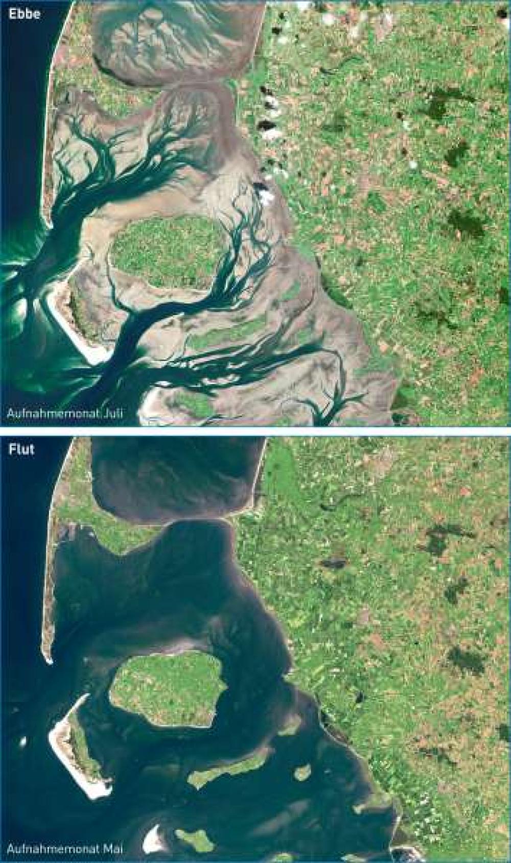Bild der Karte Das Wattenmeer bei Ebbe und Flut - Deutschland - Deutschland - Umwelt