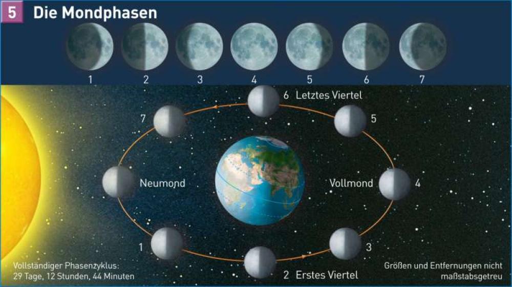 Bild der Karte Die Mondphasen - Erde - Erde im Weltall